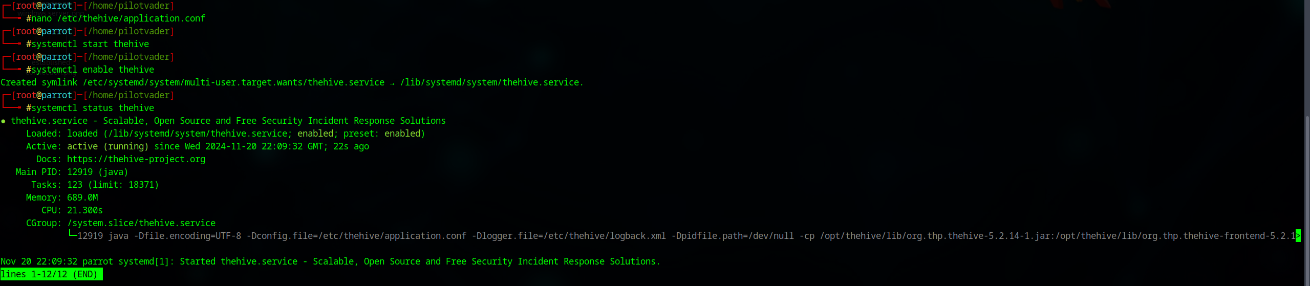 TheHive Service Successfully Started
